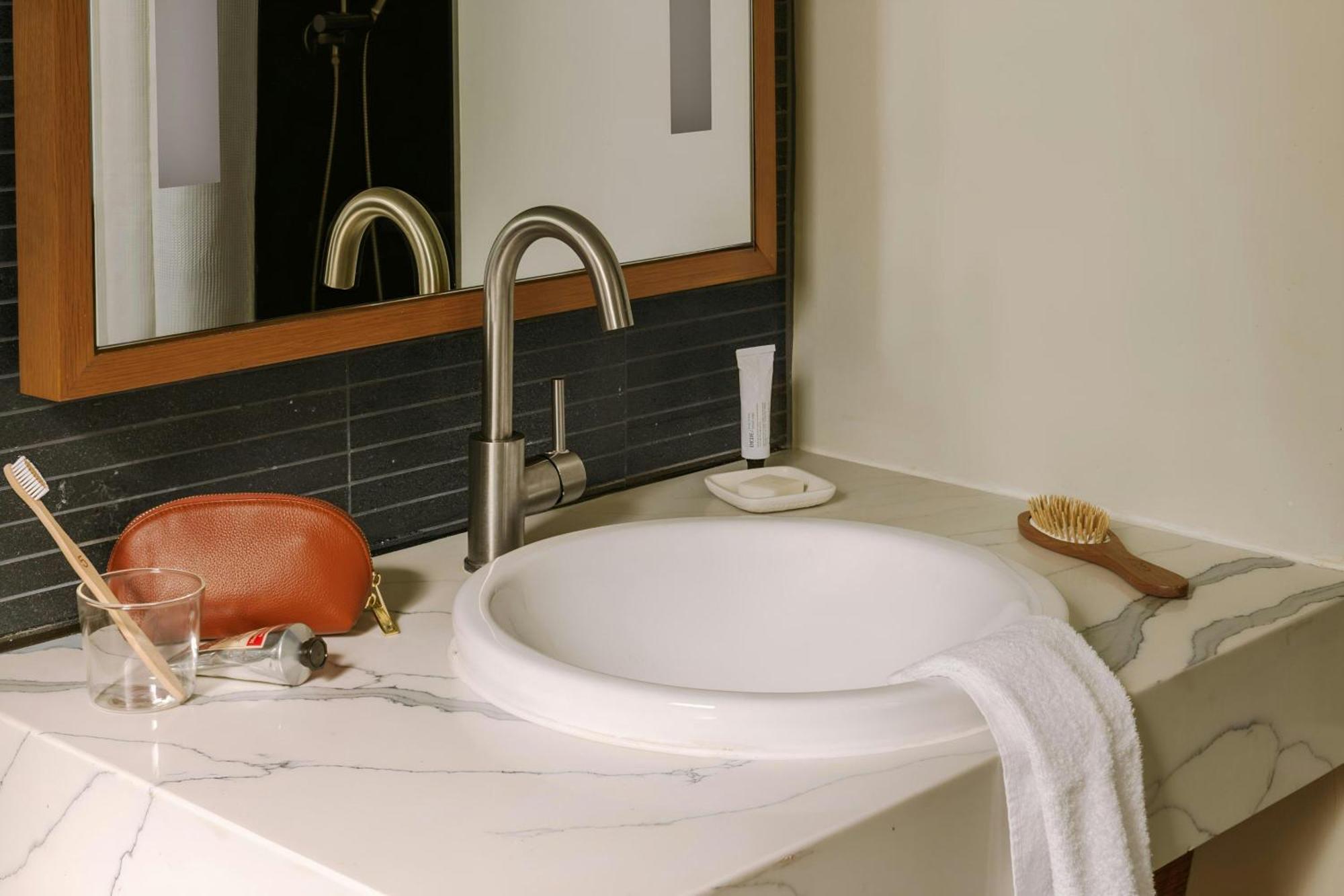 King Room Mobility Hearing Accessible Roll Shower